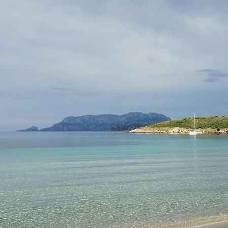 Apartmán La Dolce Dimora Olbia Exteriér fotografie